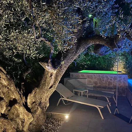Palms Suite-3